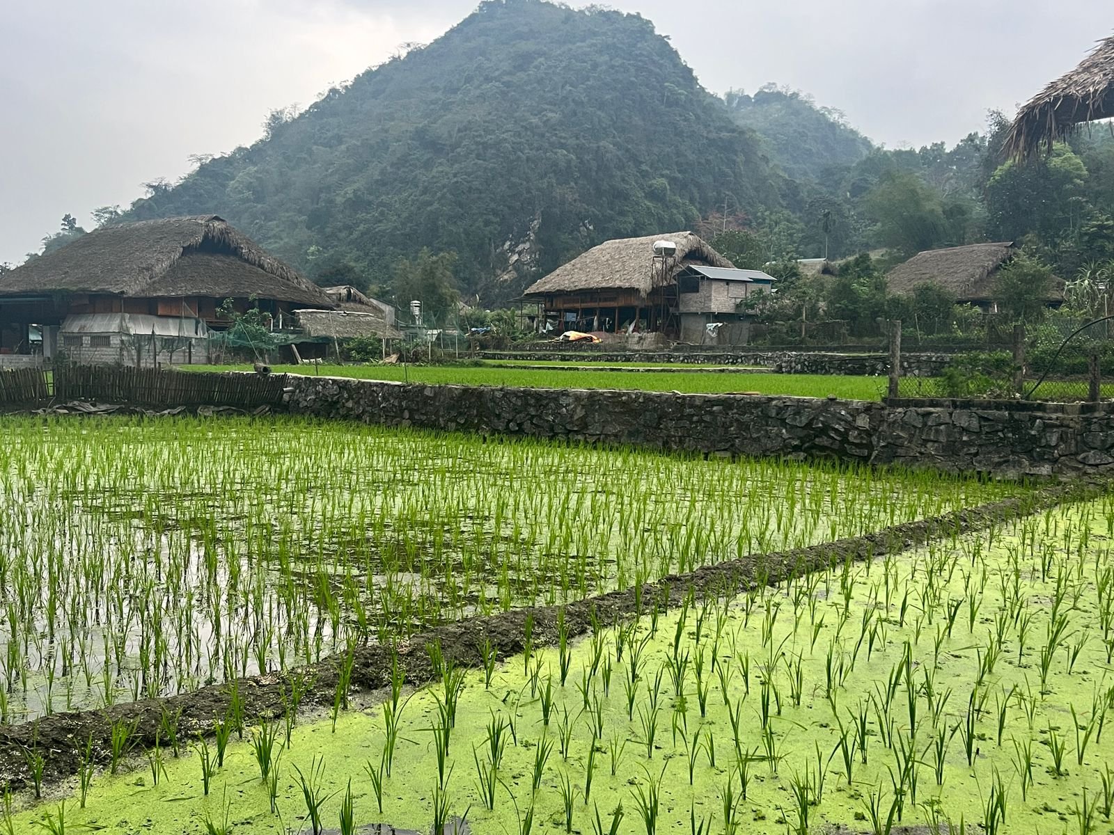 Best Vietnam Cycling Northeast Tour 15 Days